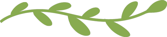 welcome vine
